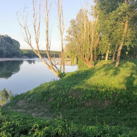 Villa Pertini Appartamento Primo Piano Nel Parco Oglio Sud Canneto sull'Oglio Dış mekan fotoğraf
